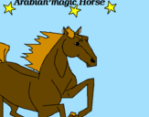 Disegno Cavallo Arabo pitturato su sabrina
