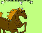 Disegno Cavallo Arabo pitturato su rebecca 