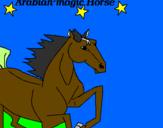 Disegno Cavallo Arabo pitturato su ludovica