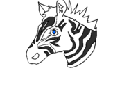 Disegno Zebra II pitturato su michelangelo