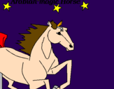 Disegno Cavallo Arabo pitturato su salvatore