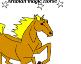 Disegno Cavallo Arabo pitturato su desirè