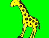 Disegno Giraffa  pitturato su korinne