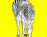 Disegno Zebra  pitturato su tigre