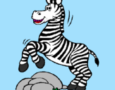 Disegno Zebra che salta sulle pietre  pitturato su coccorella