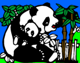 Disegno Mamma panda  pitturato su greta