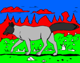 Disegno Coyote pitturato su greta