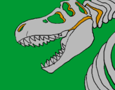 Disegno Scheletro di Tyrannosaurus rex pitturato su scheletrodi t-rex