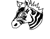 Disegno Zebra II pitturato su EDOARDO