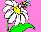Disegno Margherita con ape  pitturato su clodet23