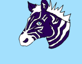 Disegno Zebra II pitturato su andrea