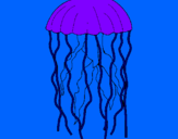 Disegno Medusa  pitturato su dario