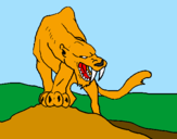 Disegno Tigre con affilati canini  pitturato su rex