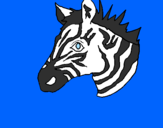 Disegno Zebra II pitturato su federica m.