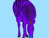 Disegno Zebra  pitturato su Lilla