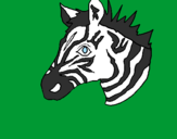 Disegno Zebra II pitturato su aurelia