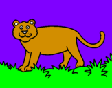Disegno Panthera  pitturato su Flavia