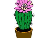 Disegno Cactus fiorito  pitturato su GABRIELLA.T.