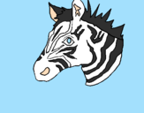 Disegno Zebra II pitturato su lavinia