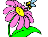 Disegno Margherita con ape  pitturato su marghe tita
