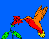 Disegno Colibrì con un fiore  pitturato su salvatore