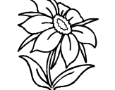 Disegno Fiore selvatico pitturato su fiori 1