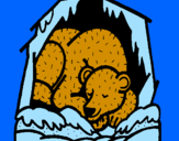 Disegno Orso in ibernazione pitturato su giorgia