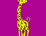 Disegno Giraffa  pitturato su beatrice