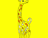 Disegno Giraffa  pitturato su TARATARUGA