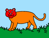 Disegno Panthera  pitturato su alex