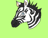 Disegno Zebra II pitturato su Giada