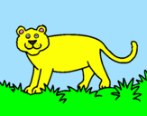 Disegno Panthera  pitturato su RAKEL
