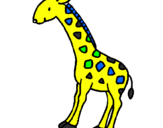 Disegno Giraffa  pitturato su manuel 