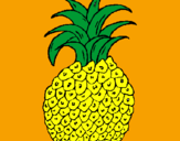 Disegno ananas  pitturato su ANDEA