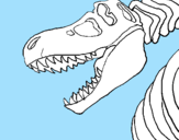 Disegno Scheletro di Tyrannosaurus rex pitturato su Giulia 