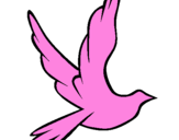 Disegno Colomba della pace in volo pitturato su titti