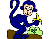 Disegno Scimmietta  pitturato su scimmia2