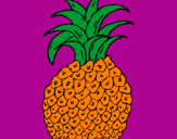Disegno ananas  pitturato su giorgia