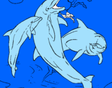 Disegno Delfini che giocano  pitturato su GAIA  BUNINO