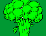 Disegno Broccoli  pitturato su matilde