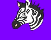 Disegno Zebra II pitturato su alessialer