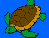 Disegno Tartaruga  pitturato su rex