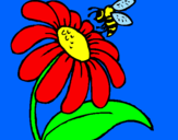 Disegno Margherita con ape  pitturato su nannarella