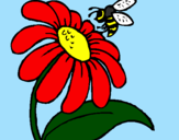Disegno Margherita con ape  pitturato su La nzuna che gioca..