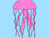 Disegno Medusa  pitturato su thomas