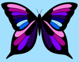 Disegno Farfalla 8 pitturato su caterina