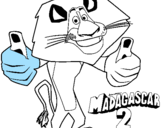 Disegno Madagascar 2 Alex pitturato su MATTEO