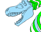 Disegno Scheletro di Tyrannosaurus rex pitturato su federico