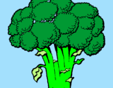 Disegno Broccoli  pitturato su Matteo