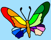 Disegno Farfalla  pitturato su thomas